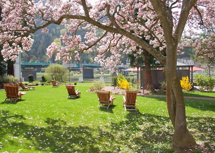 Hotel Moselschlösschen Spa&resort